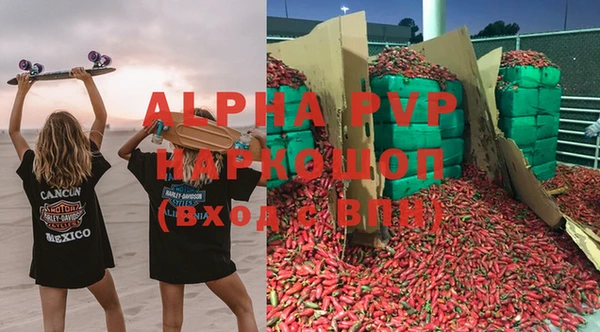 индика Вязьма