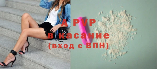 индика Вязьма