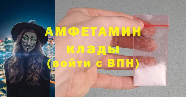 индика Вязьма