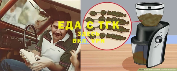 индика Вязьма