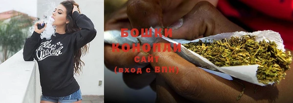 индика Вязьма
