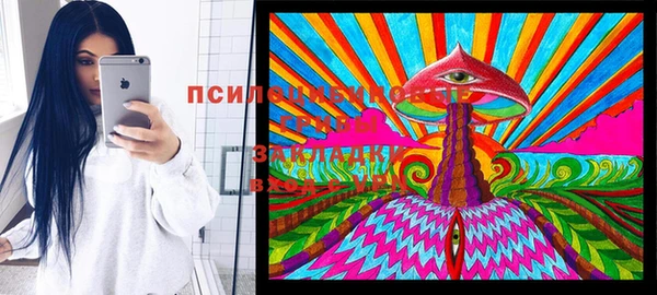 индика Вязьма