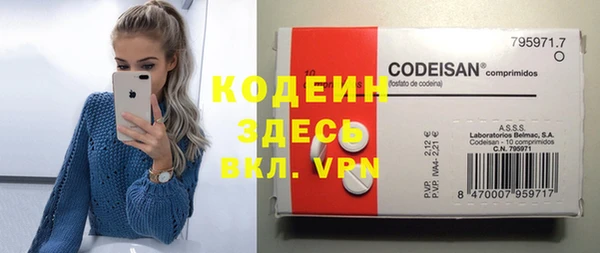 индика Вязьма