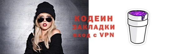индика Вязьма
