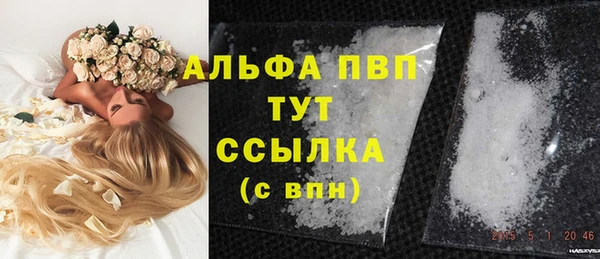 прущие грибы Волоколамск