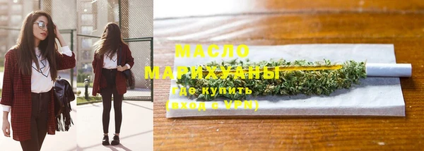 индика Вязьма