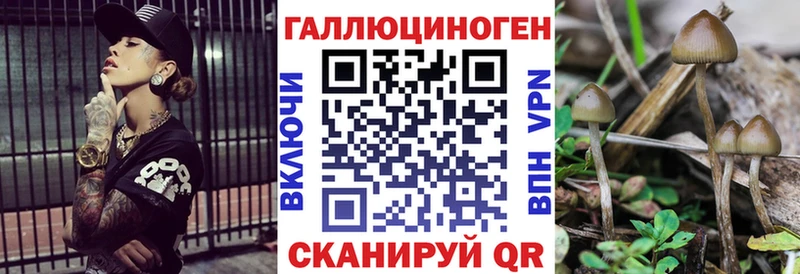 что такое   OMG tor  Псилоцибиновые грибы мухоморы  Салават 