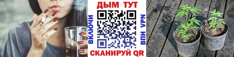 Бошки марихуана ГИДРОПОН  OMG маркетплейс  Салават  наркошоп 